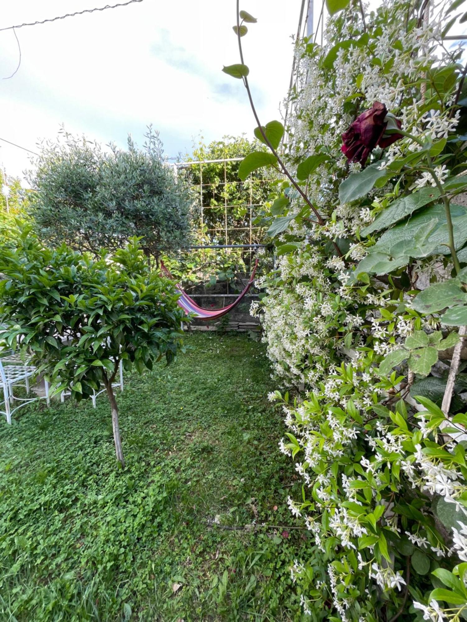 Vila Nela Shkodra Exterior foto