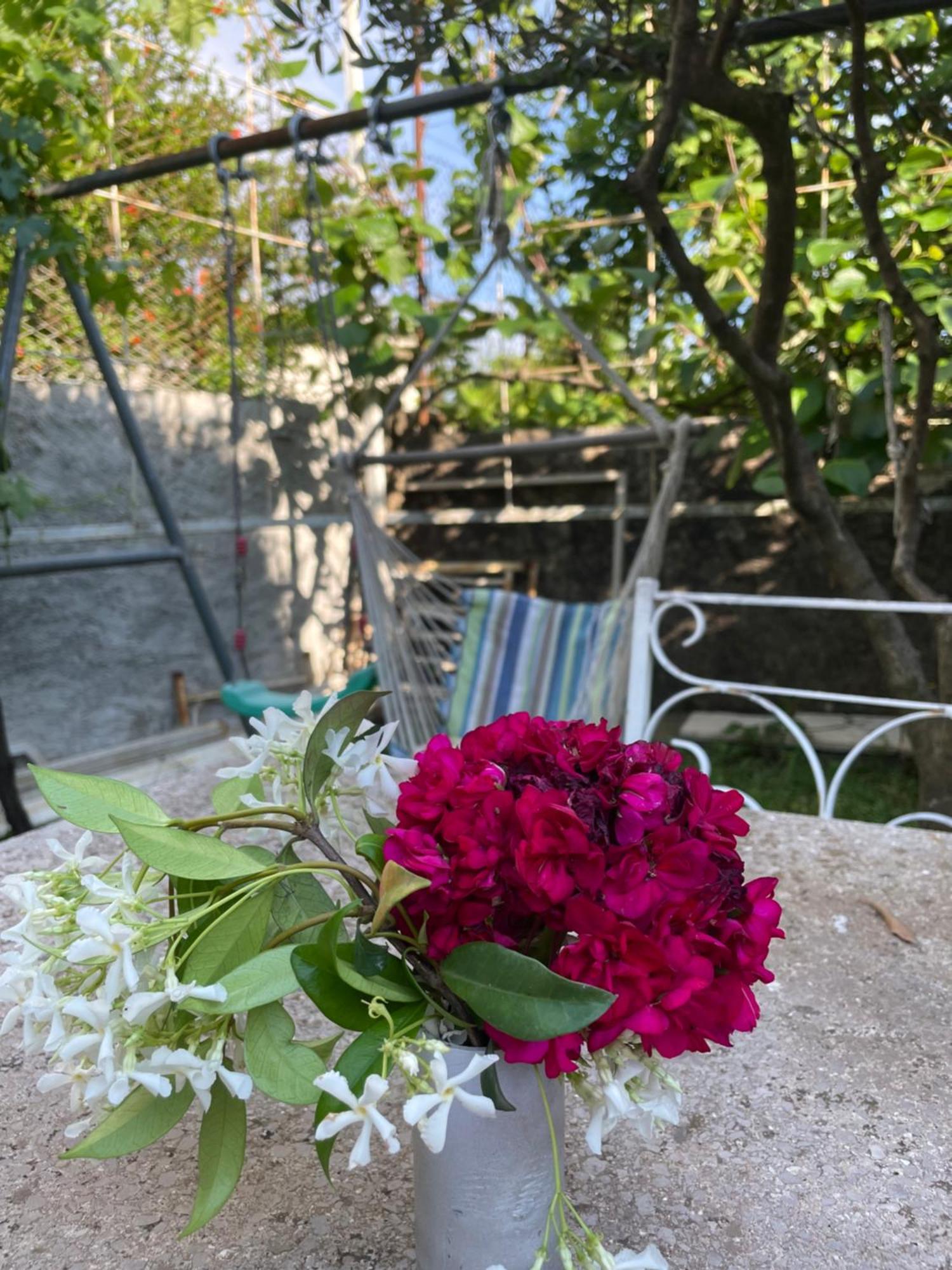 Vila Nela Shkodra Exterior foto