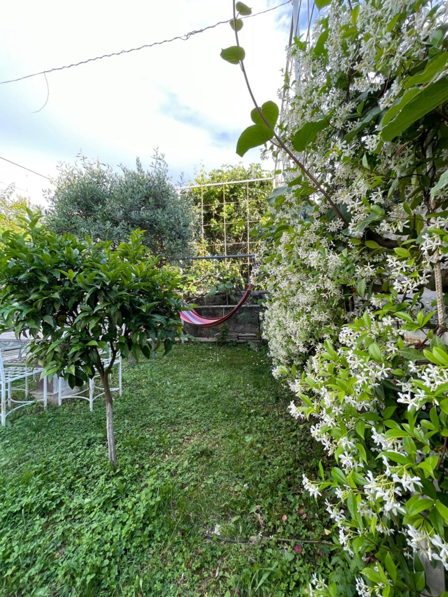 Vila Nela Shkodra Exterior foto