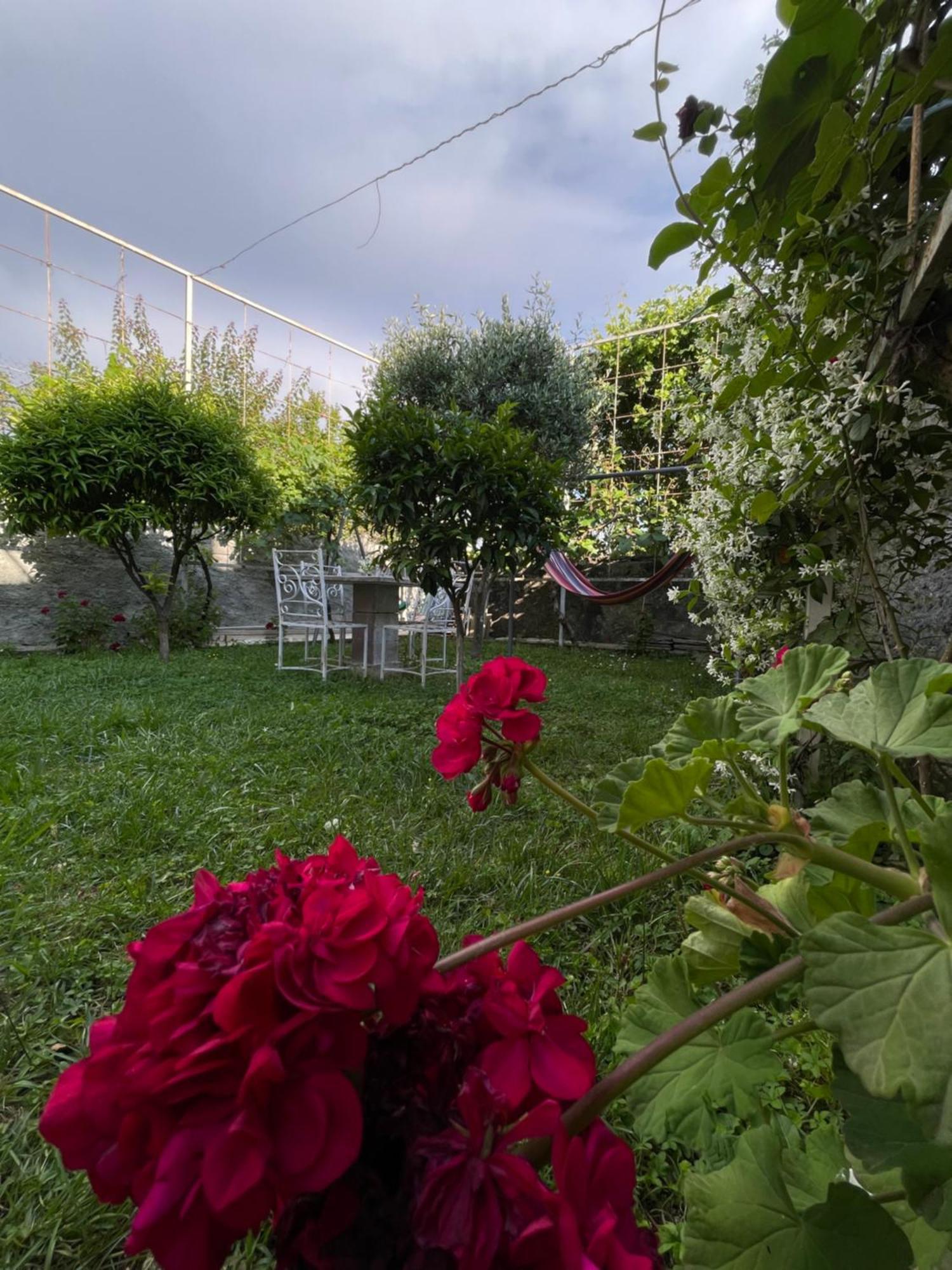 Vila Nela Shkodra Exterior foto