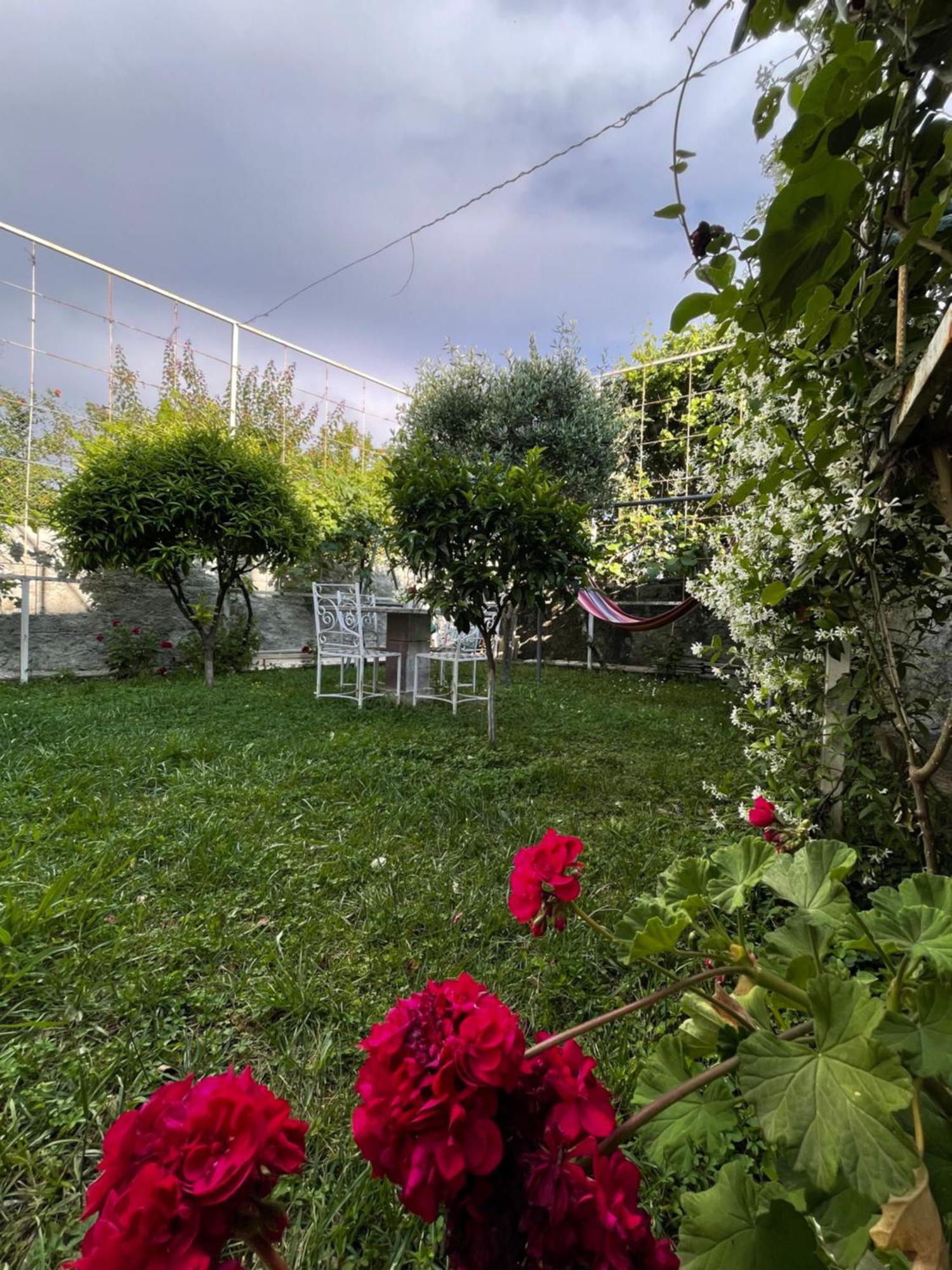 Vila Nela Shkodra Exterior foto